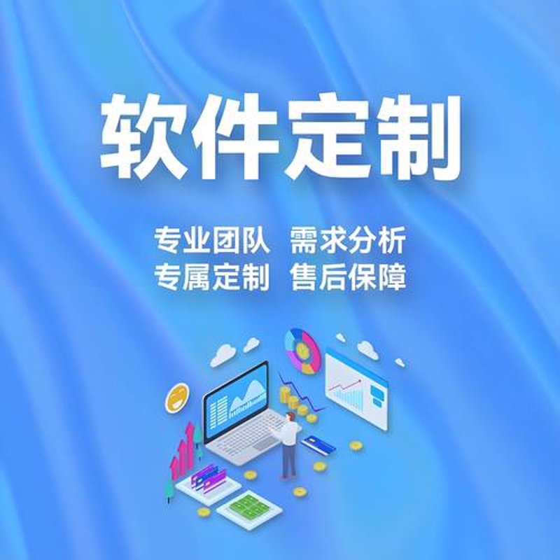 如何选择最适合企业的软件定制方案